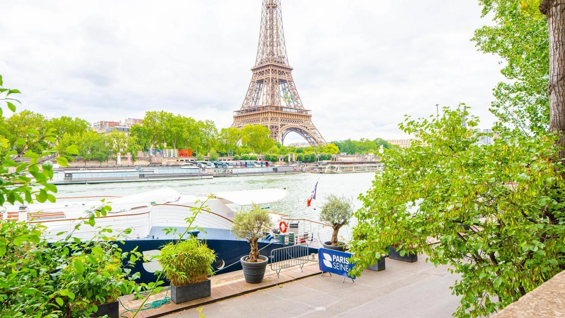 Luxury Flat Eiffel Tower View